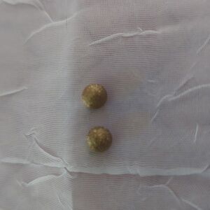 Elegant Gold Stud Earrings